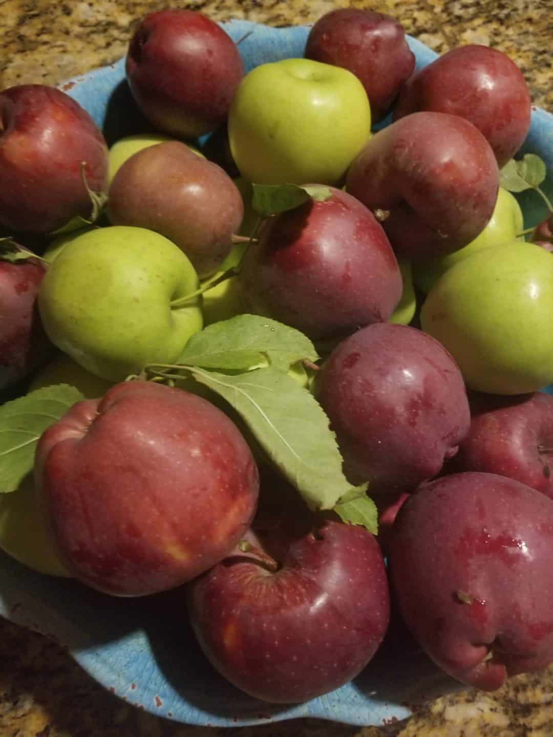 Mountain Community Lunch