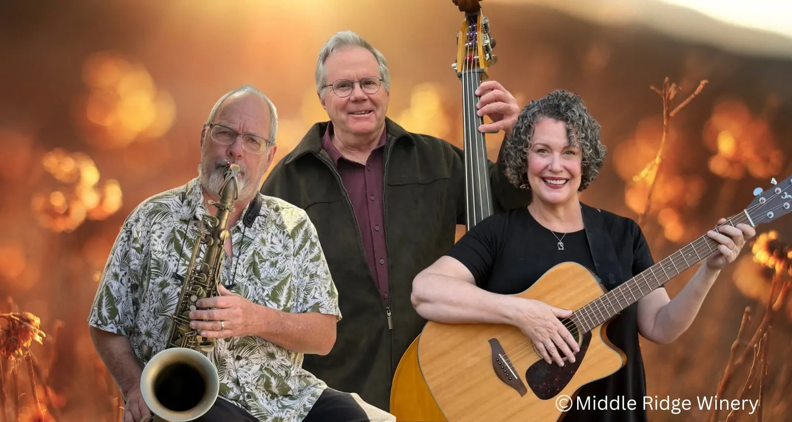Jazz*Folk*Americana | ArisTRIOcrats@ middleridge winery