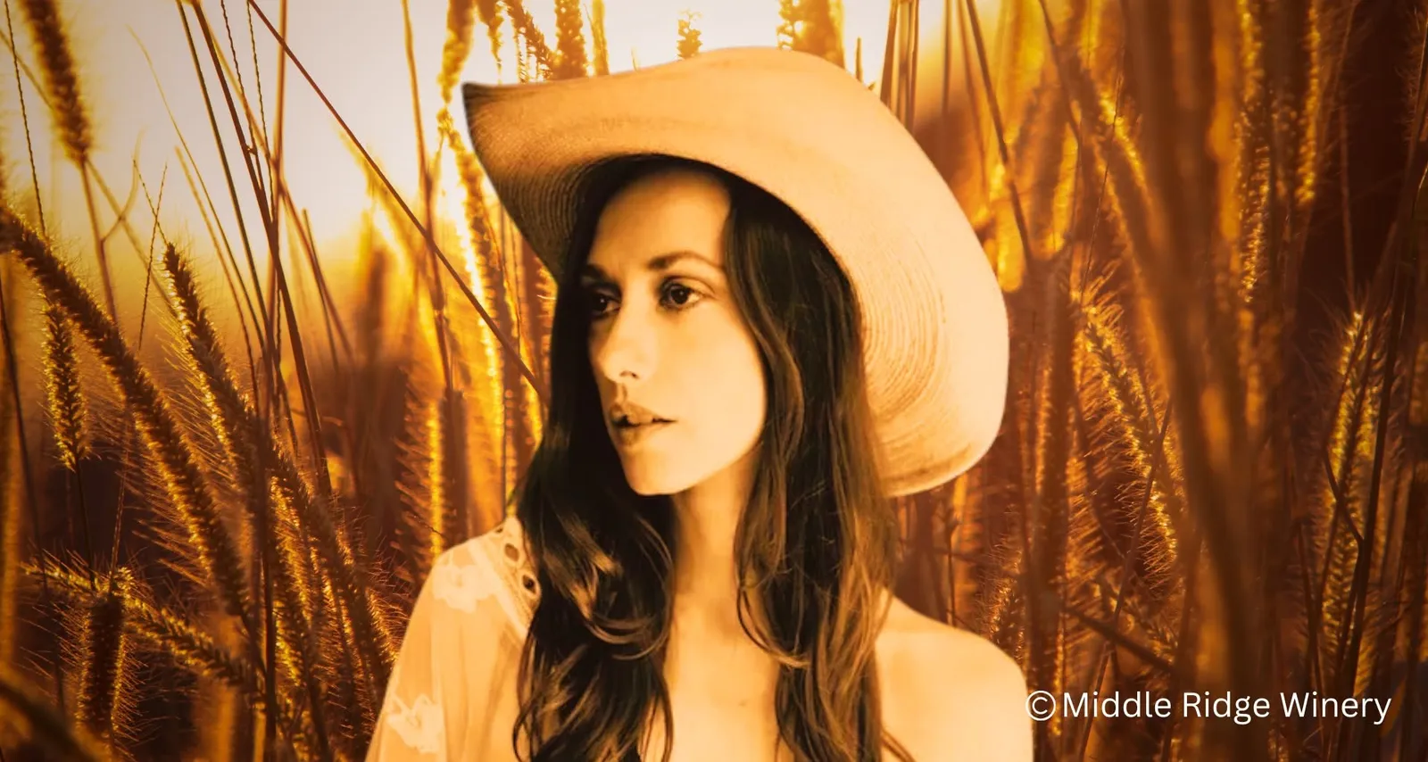 Country | Francesca Brown Band@ middleridge winery