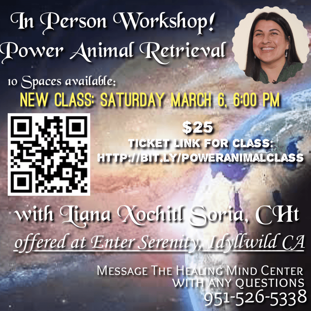 Power Animal Workshop