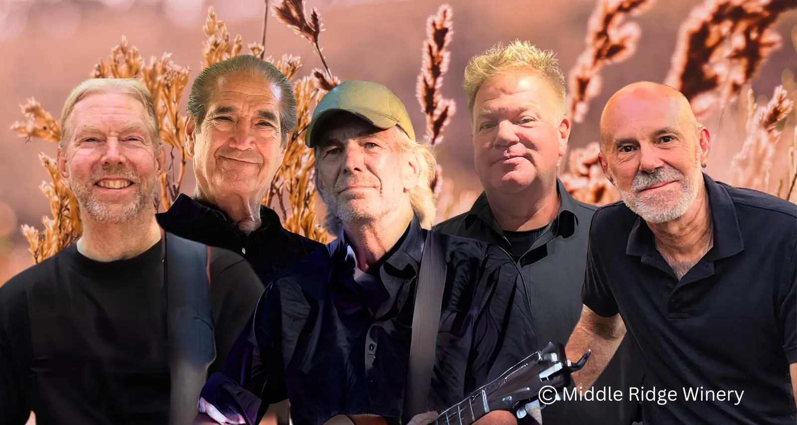rock and pop/spare change@ middleridge winery