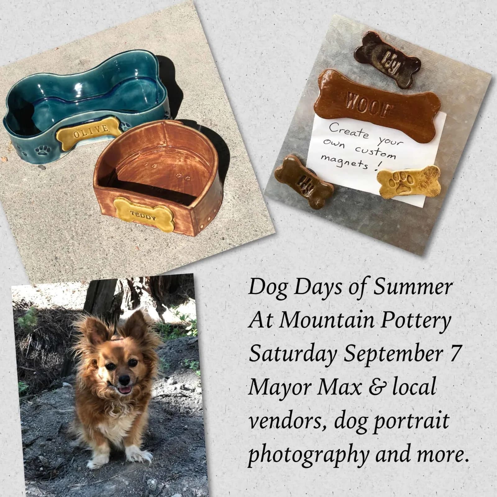 Dog Days of Summer