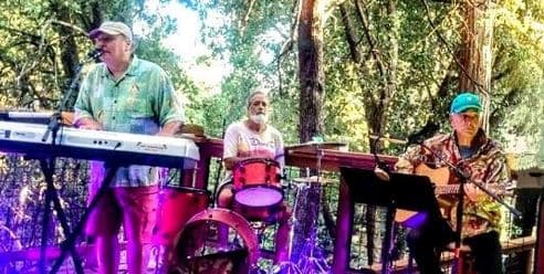 The Royal Pains | Classic Rock & Surf Tunes@ middleridge winery