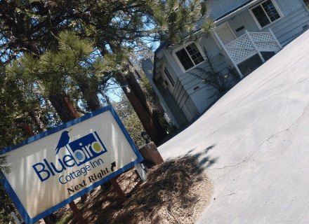 Photo for Blue Bird Cottage Inn