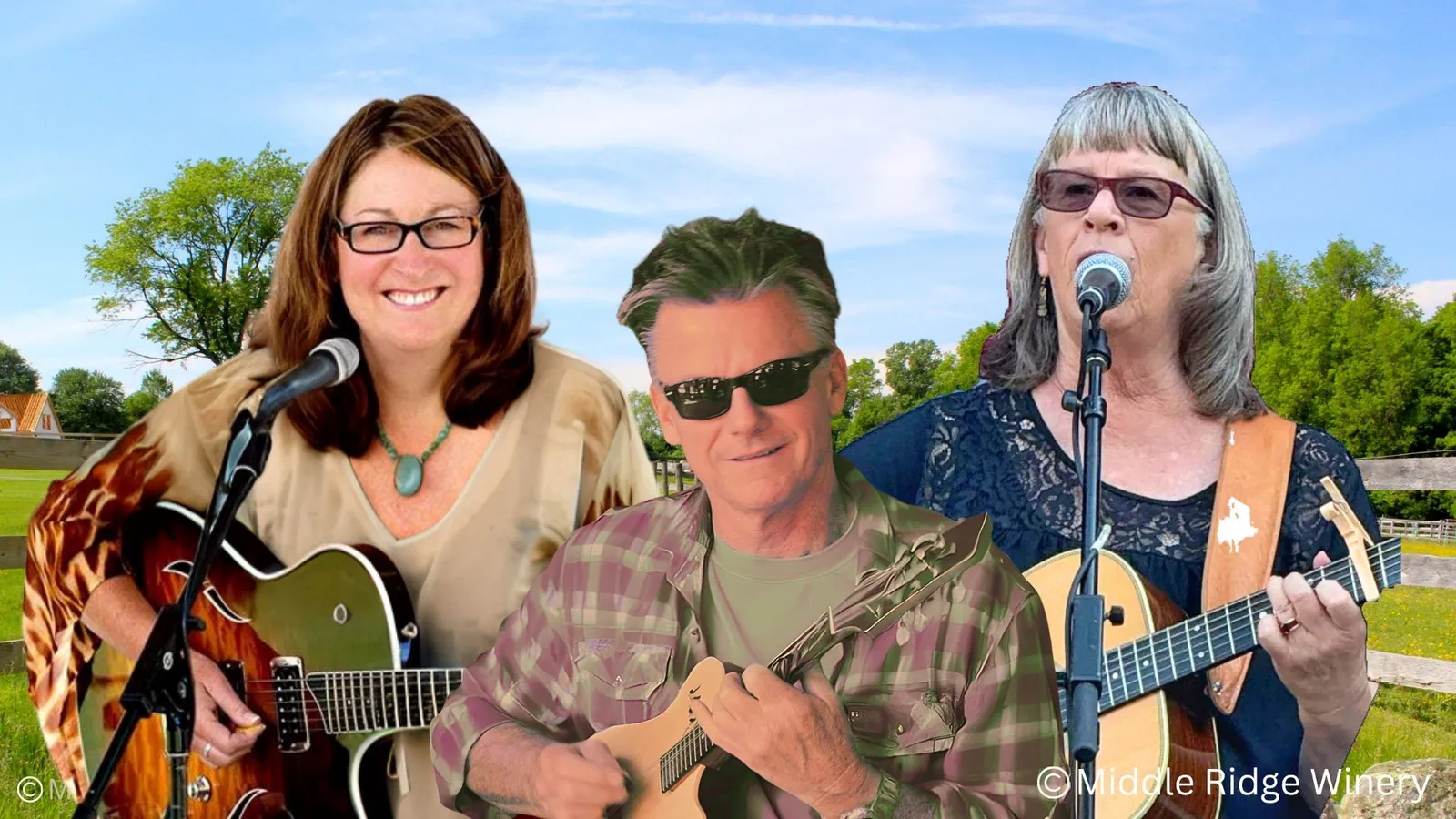 Country Blues & Rock | Sandii, Jamie & Don@ middleridge winery