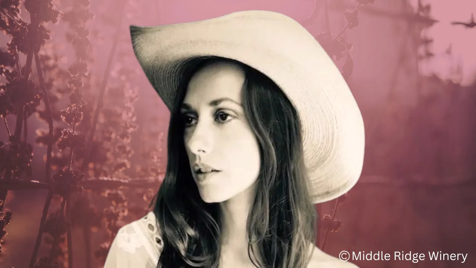 Country | Francesca Brown Band@ middleridge winery
