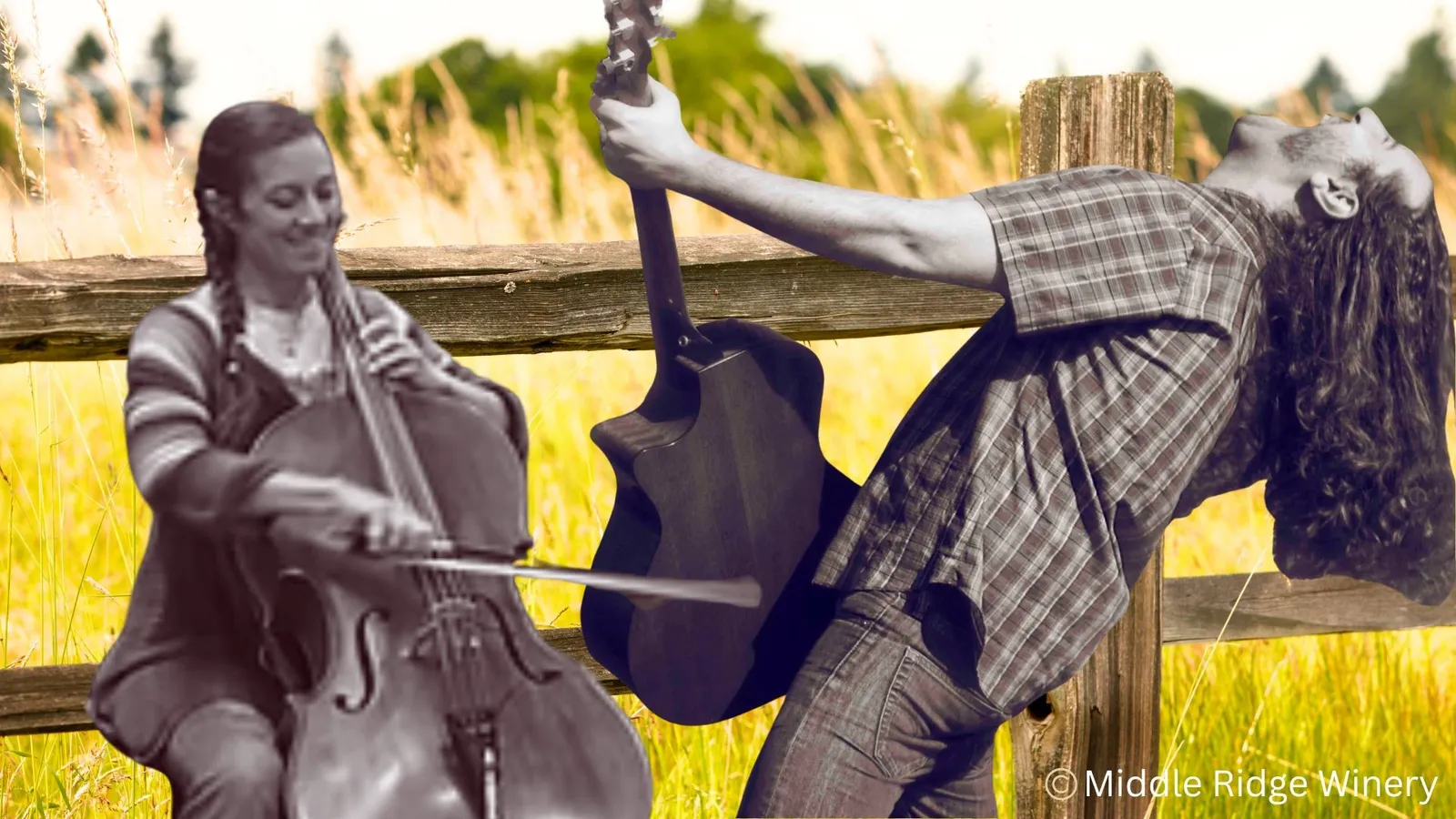 Folk Rock | Chris Baron & Debbie Stewart@ middleridge winery