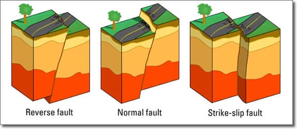 It's all our faults@ nature center
