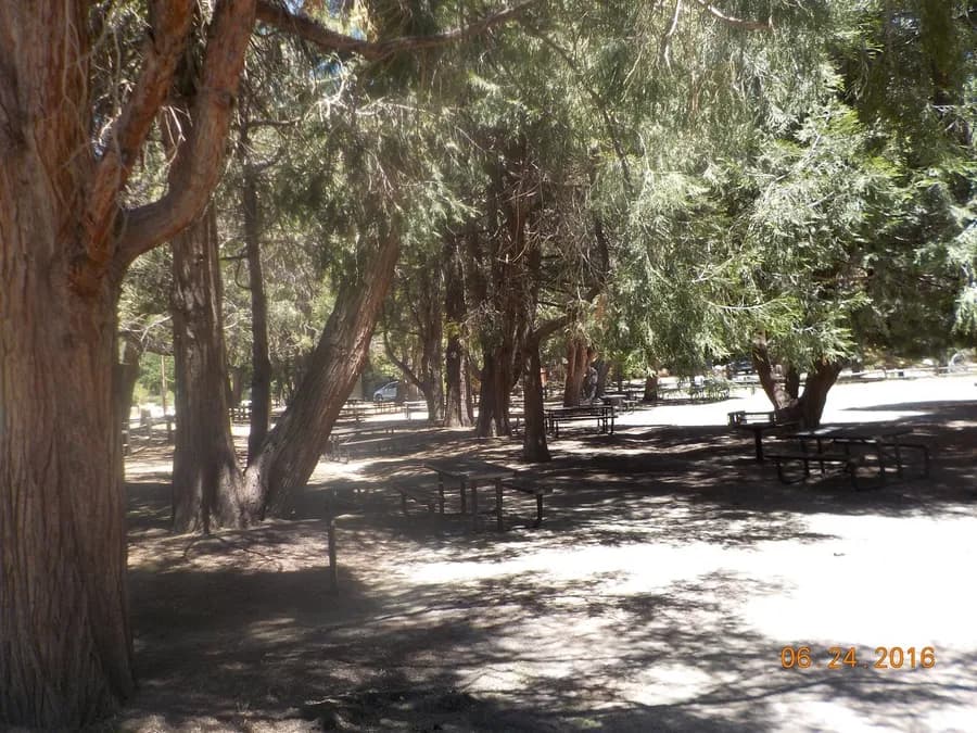 Photo for Idyllwild Park