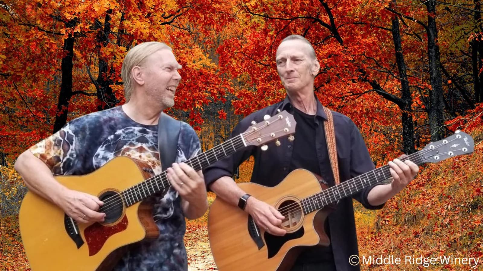 Rock & Americana | Idyll Hands@ middleridge winery