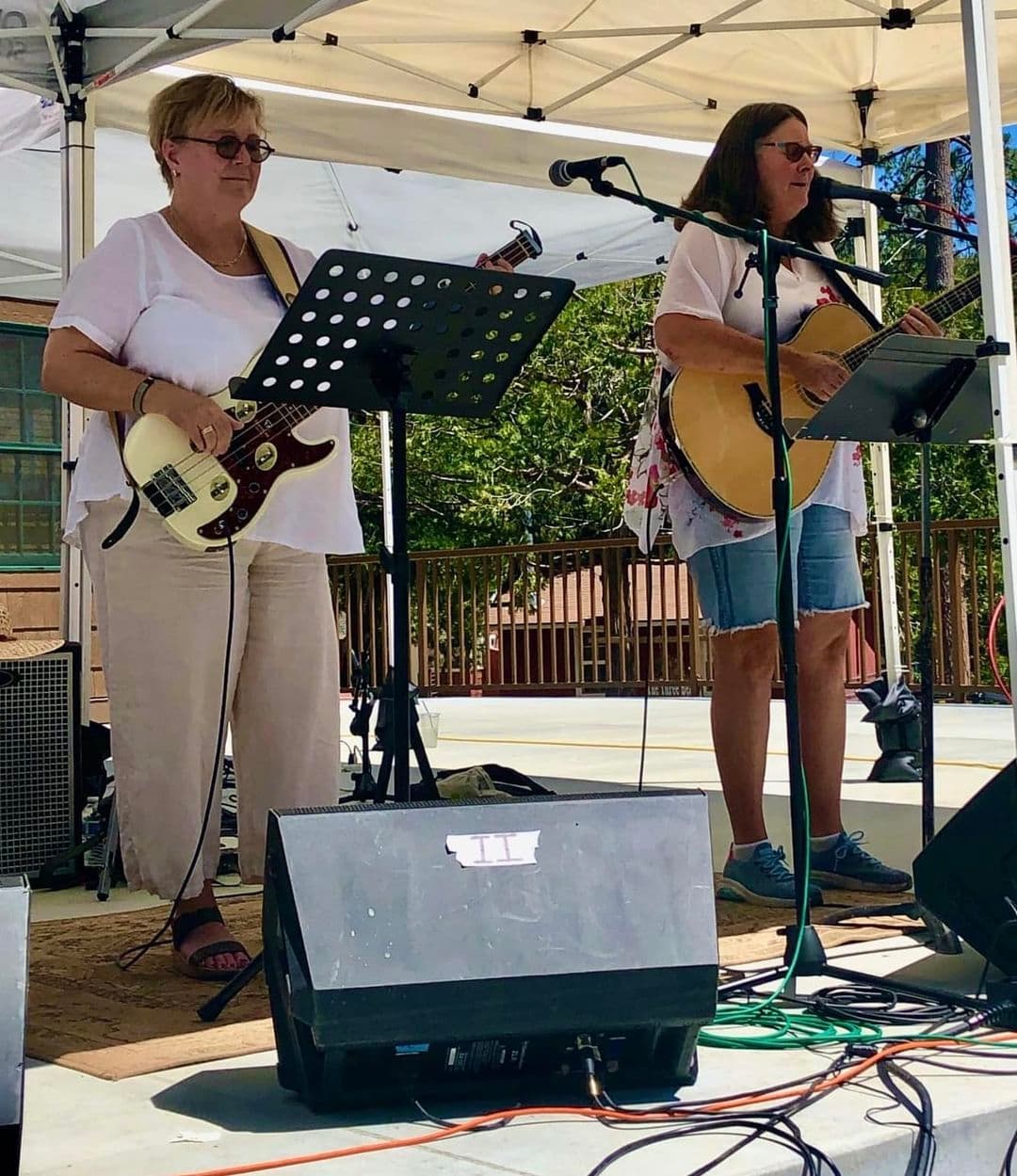 : Songbird Sandii & The Finches@ Middle ridge winery