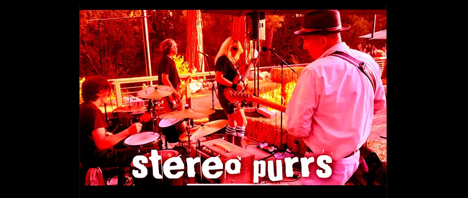 stereo purrs@ lily's restaurant